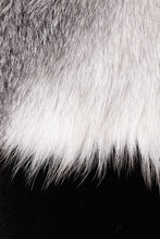 Load image into Gallery viewer, maria womens long fox fur jacket White & Black Striped Fox 9
