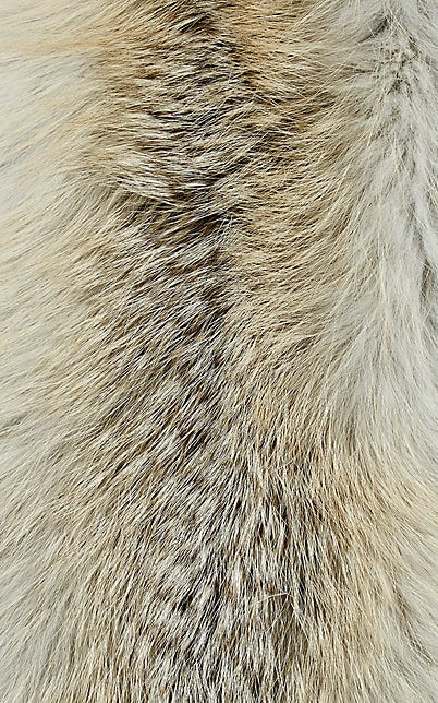 Arabella Icelandic Fox Fur Scarf Golden