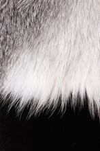 Load image into Gallery viewer, maria womens long fox fur jacket White &amp; Black Striped Fox 9
