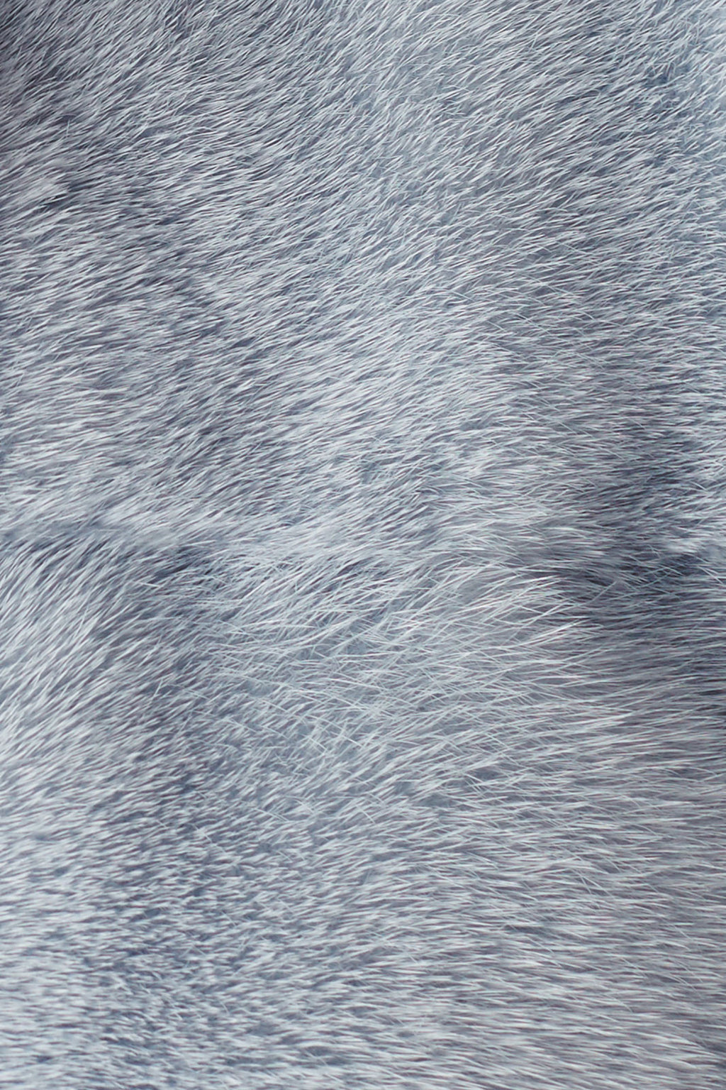 noah womens mink jacket with collar Cielo 5