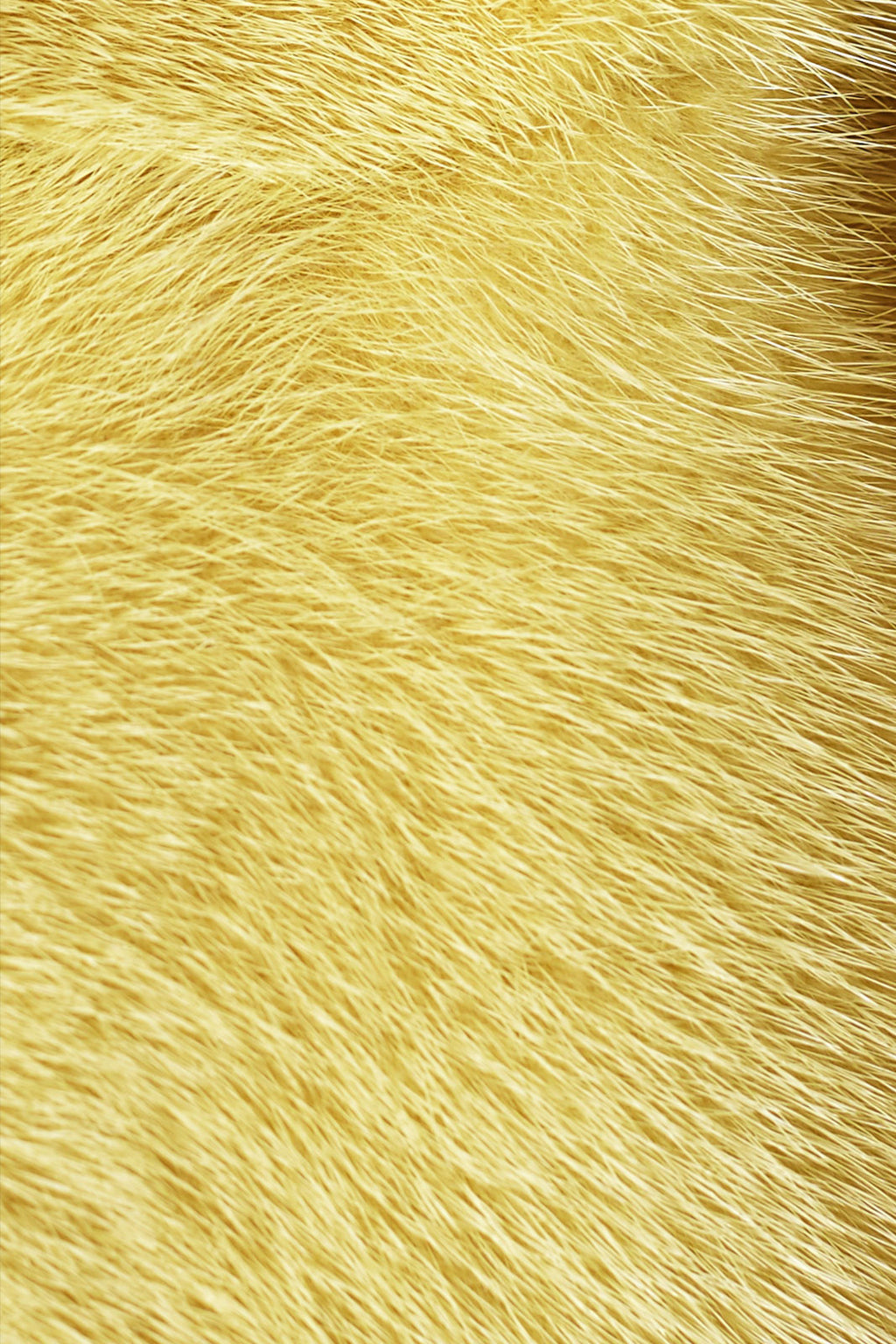 alice womens mink vest 70cm Limone 5